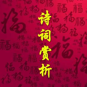 诗词赏析