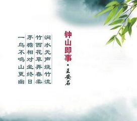 宋代诗词政治玩得转,写诗也酷炫王安石的千古绝诗