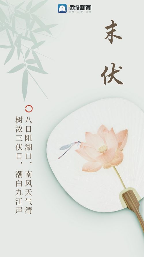 海报图品 关于末伏的绝美诗词