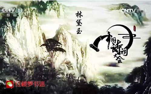 中国诗词大会 飞花令 选手 林黛玉