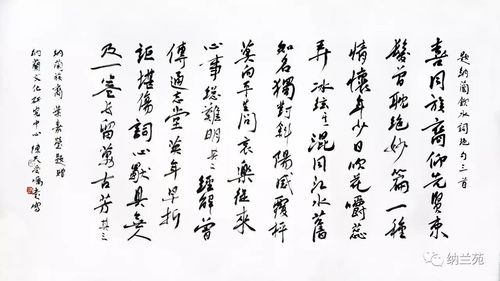 朗读者 诗词的女儿 叶嘉莹,风雨归来,了然于面