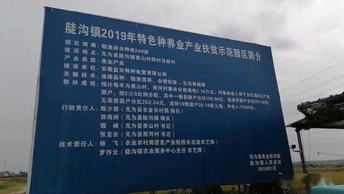 十二年铸就亿元龟业传奇,花园式生态与深加工新篇