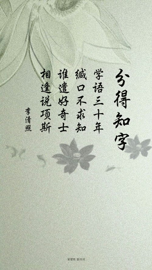 诗词壁纸 古风意境与壁纸艺术的完美融合